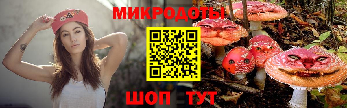 Псилоцибиновые грибы мицелий Похвистнево
