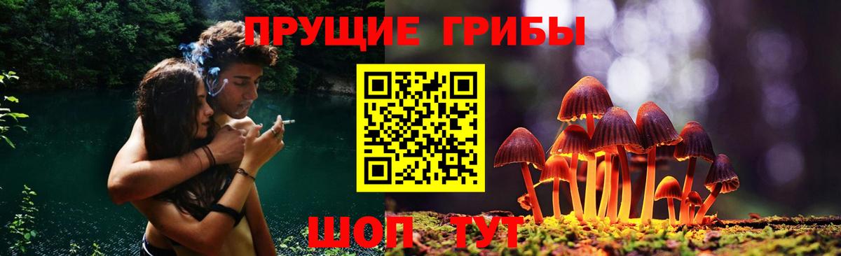 Похвистнево  Псилоцибиновые грибы Magic Shrooms  где можно купить наркотик  Вход с VPN 